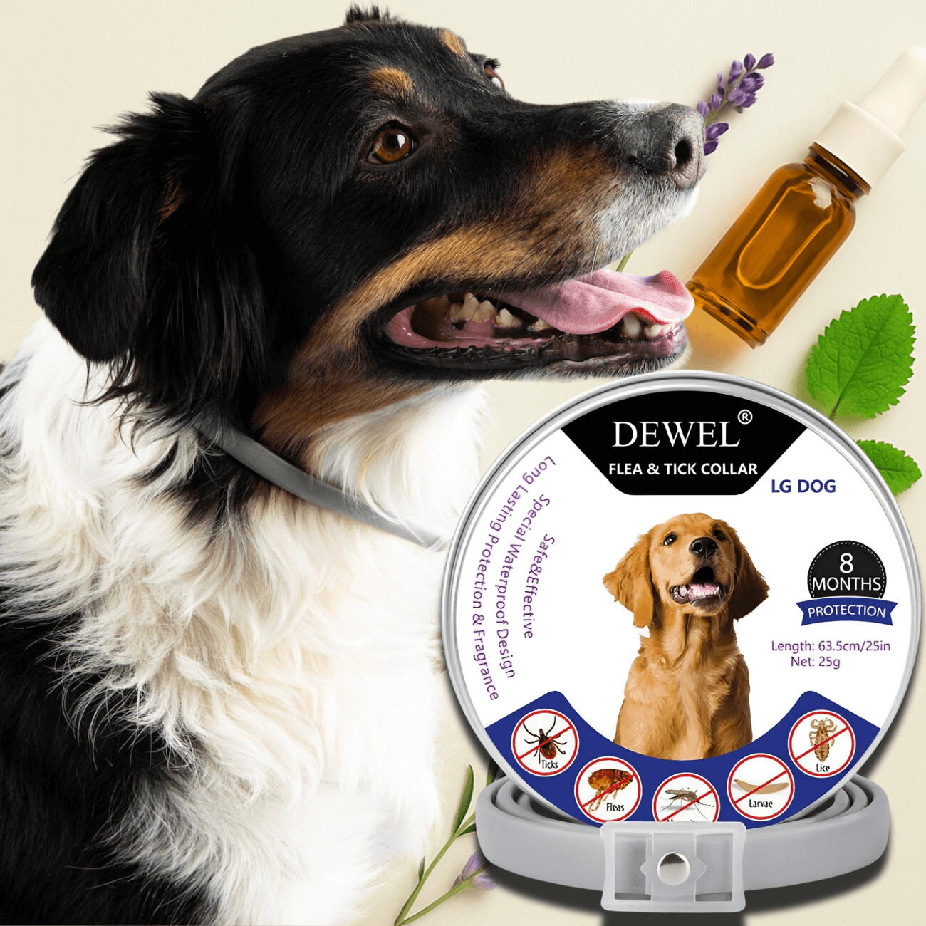 DEWEL Natural Collar: Built for Daily Mosquito Defense DEWEL Natural Collar: Built for Daily Mosquito Defense