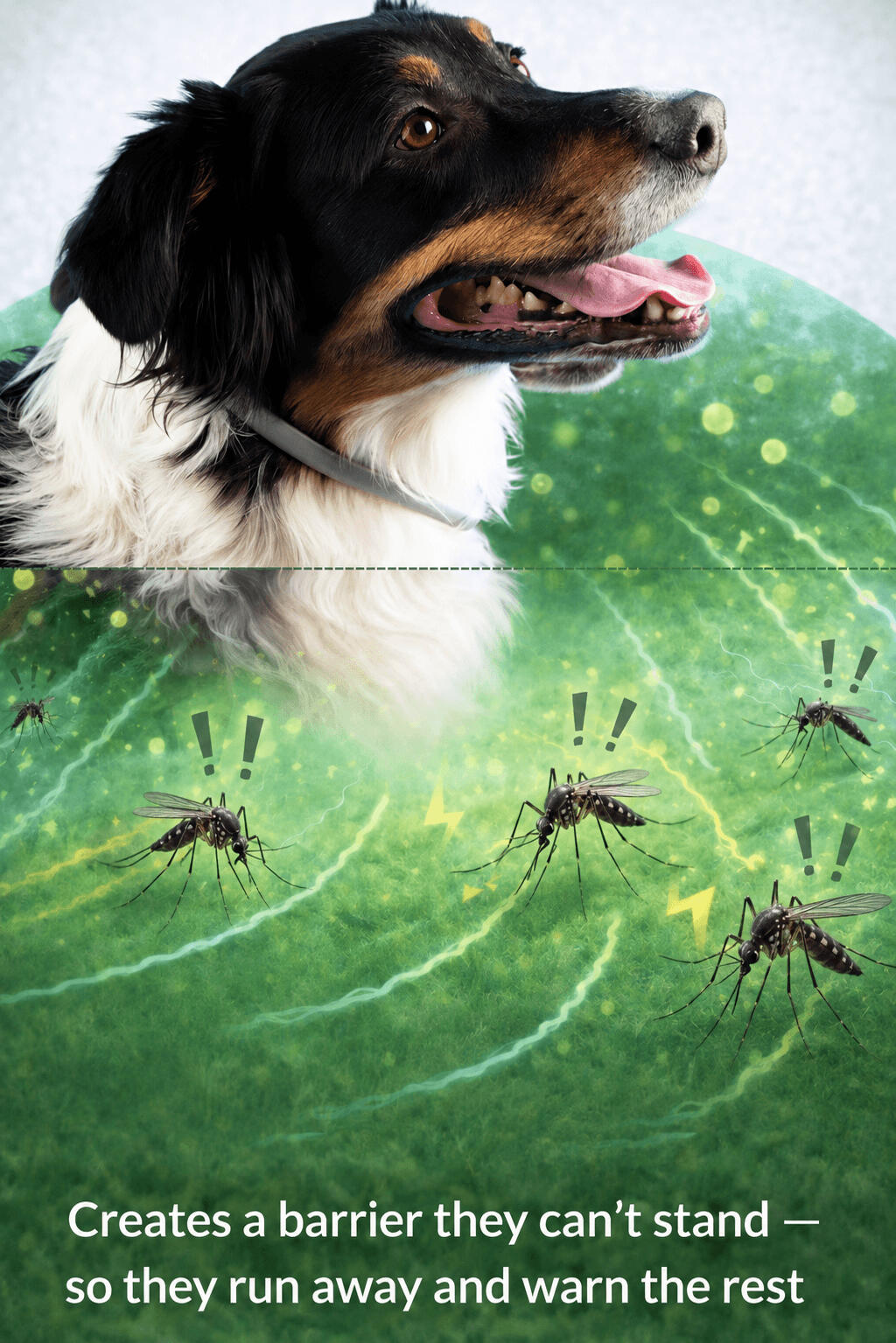 Why Repelling Mosquitoes Before They Bite Matters? Why Repelling Mosquitoes Before They Bite Matters?
