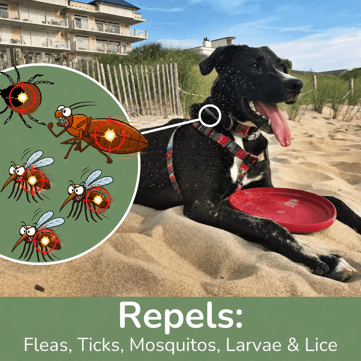 What Makes a Good Mosquito Repellent for Dogs? What Makes a Good Mosquito Repellent for Dogs?